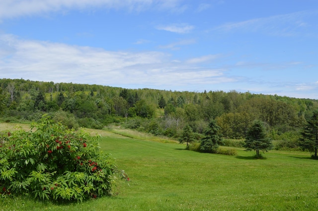 196 Aspen Rd, Madawaska, ME 04756 - photo 19