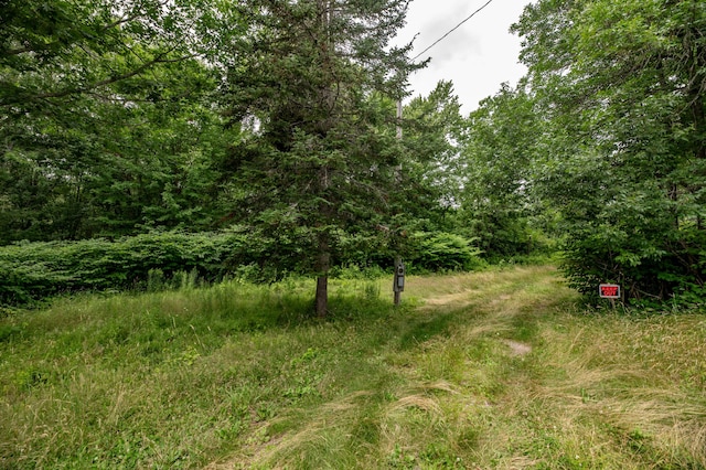 635 Peltoma Ave, Detroit, ME 04929 - photo 2