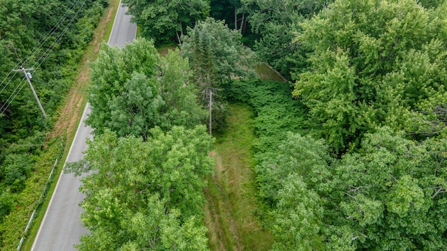 635 Peltoma Ave, Detroit, ME 04929 - photo 29