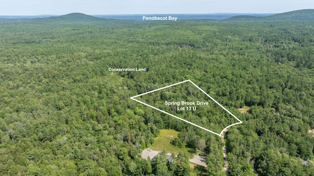 LOT13-U Spring Brook Dr, Lincolnville, ME 04949 - photo 1