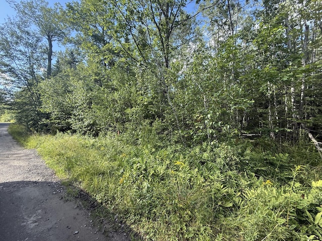 LOT13-U Spring Brook Dr, Lincolnville, ME 04949 - photo 5
