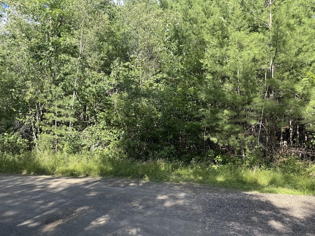 LOT13-U Spring Brook Dr, Lincolnville, ME 04949 - photo 7