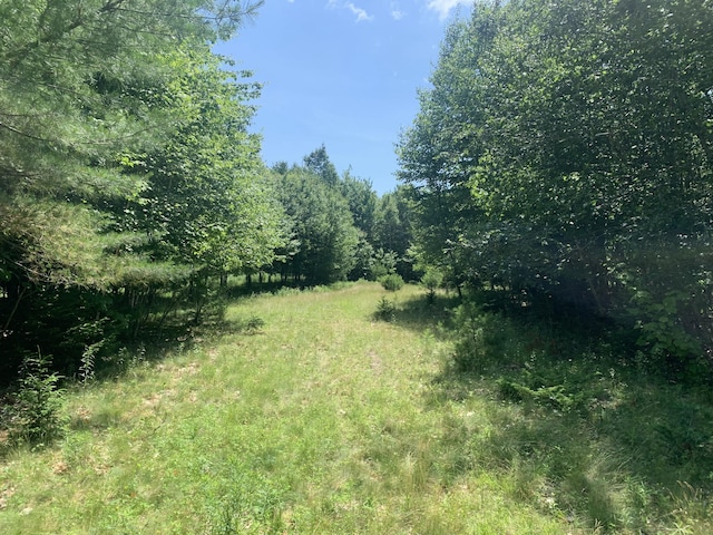 LOT1 Richardson Rd, Orrington, ME 04474 - photo 2