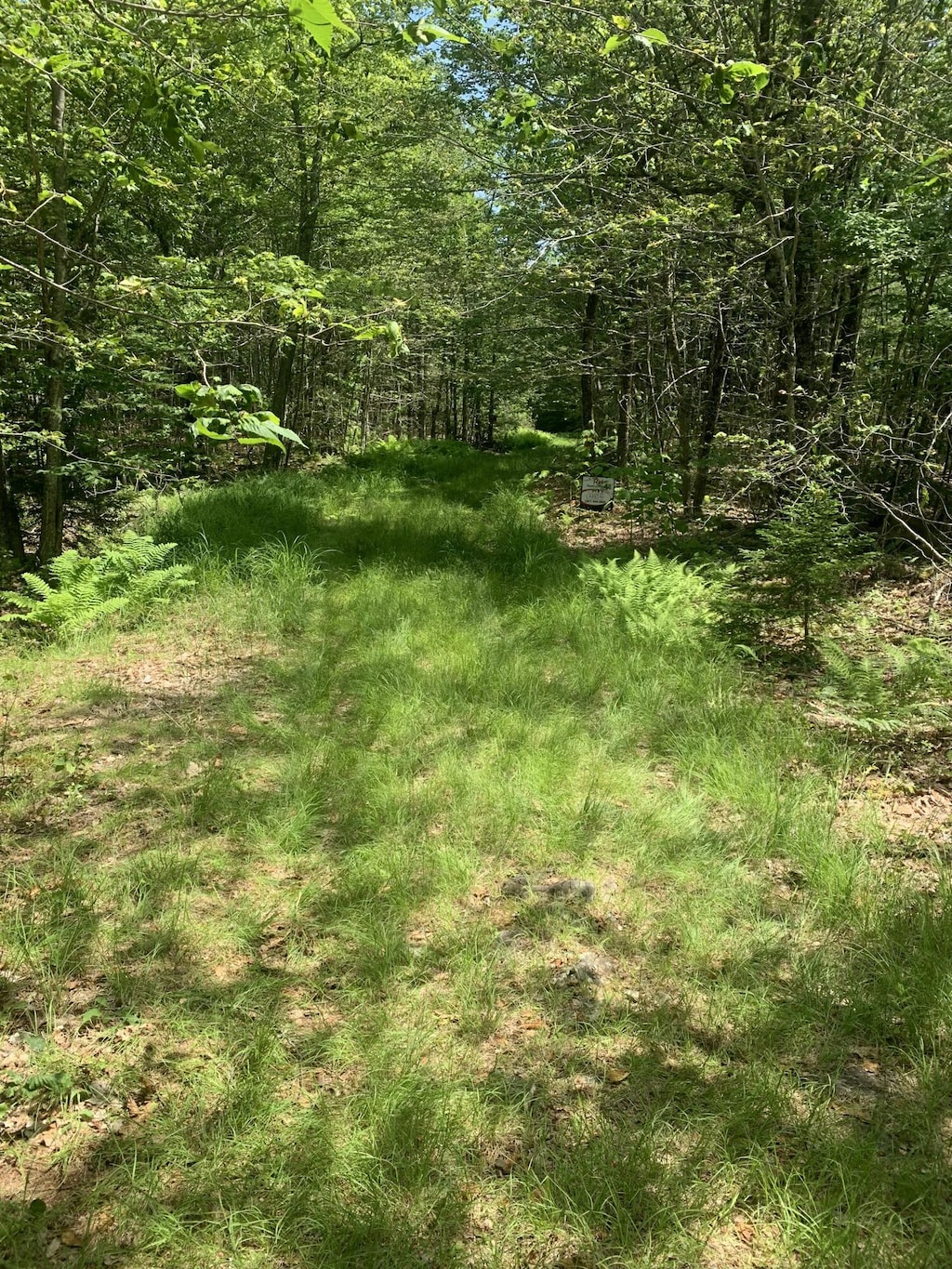 LOT1 Richardson Rd, Orrington, ME 04474 - photo 3