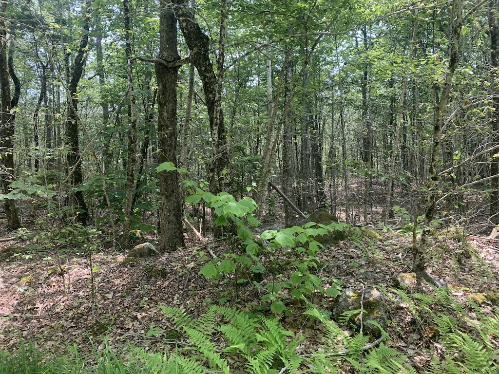 LOT1 Richardson Rd, Orrington, ME 04474 - photo 4