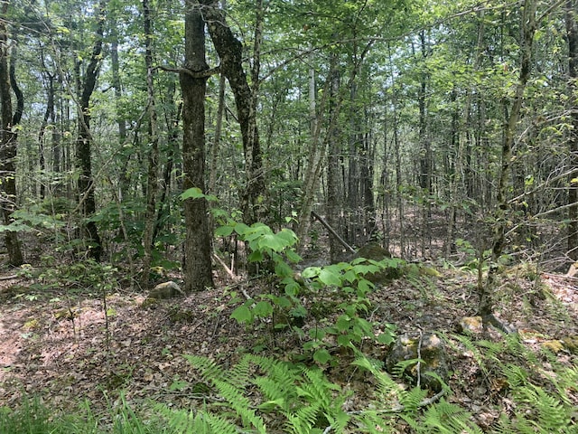 LOT1 Richardson Rd, Orrington, ME 04474 - photo 4