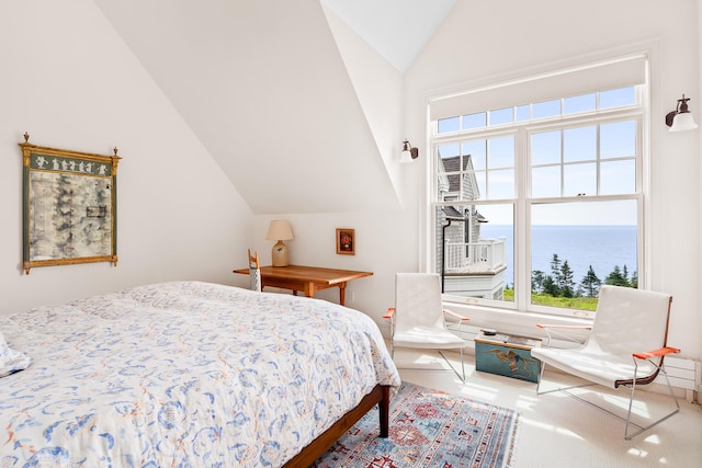 866 Pendleton Point Rd, Islesboro, ME 04848 - photo 30