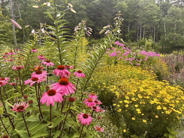 359 Lower Round Pond Rd, Bristol, ME 04539 - photo 9