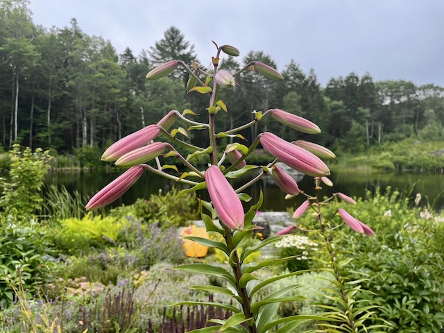 359 Lower Round Pond Rd, Bristol, ME 04539 - photo 19
