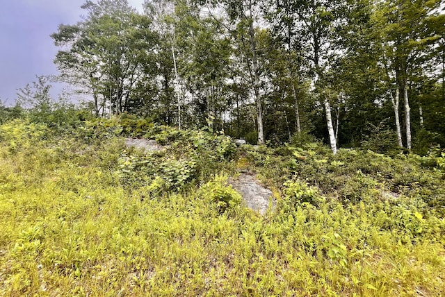359 Lower Round Pond Rd, Bristol, ME 04539 - photo 29