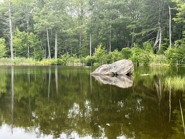 359 Lower Round Pond Rd, Bristol, ME 04539 - photo 24