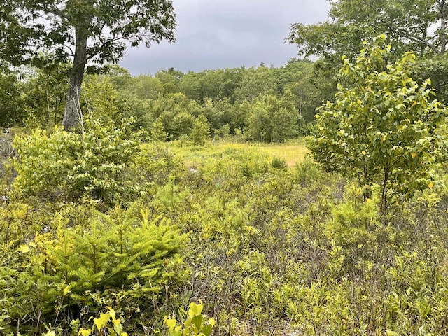 359 Lower Round Pond Rd, Bristol, ME 04539 - photo 30