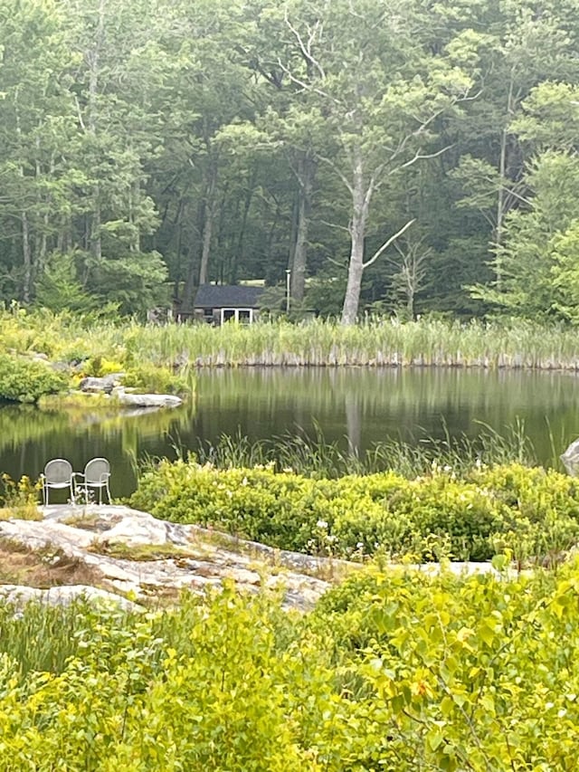 359 Lower Round Pond Rd, Bristol, ME 04539 - photo 35