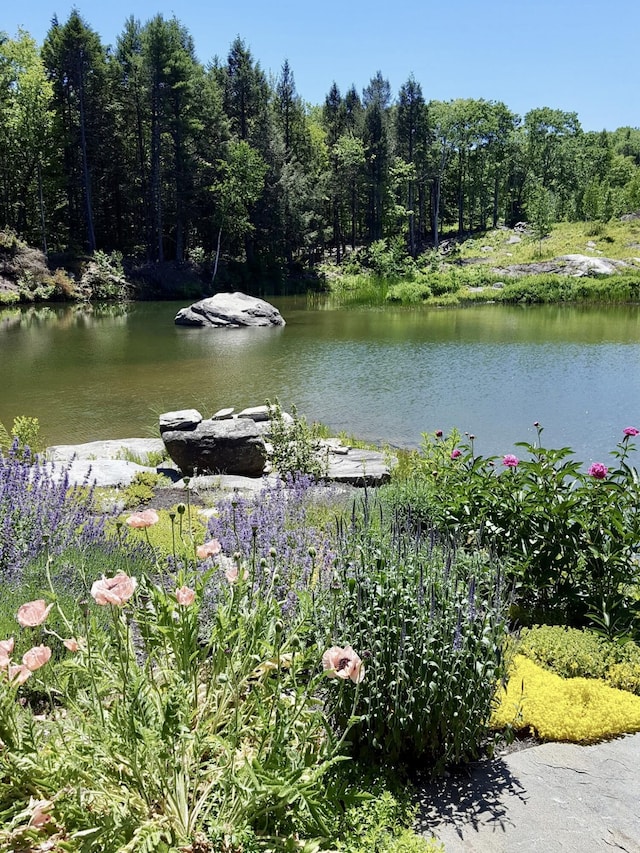 359 Lower Round Pond Rd, Bristol, ME 04539 - photo 47