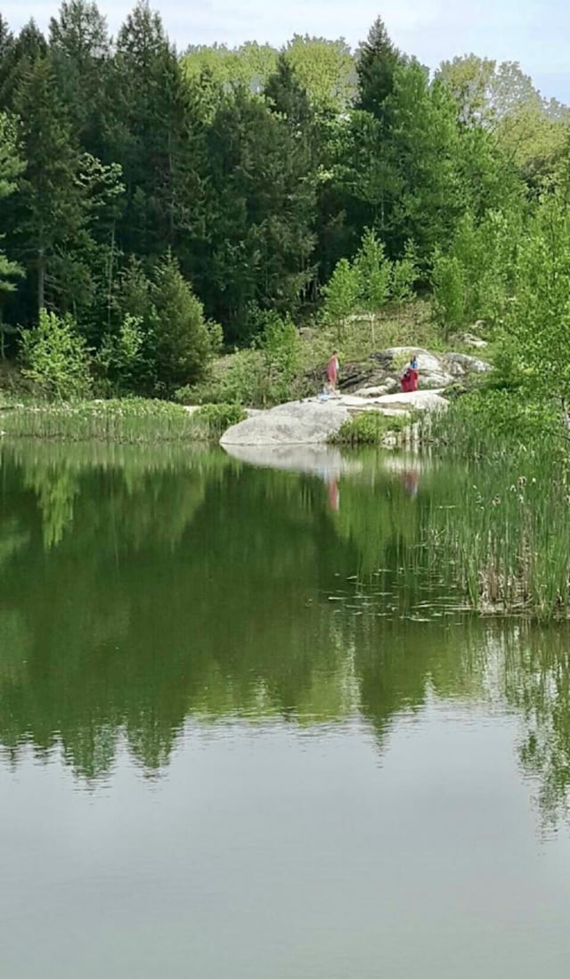 359 Lower Round Pond Rd, Bristol, ME 04539 - photo 6