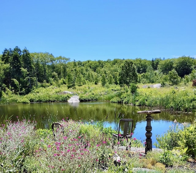 359 Lower Round Pond Rd, Bristol, ME 04539 - photo 22