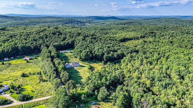 LOT29 N Grey Rd, Greene, ME 04236 - photo 3
