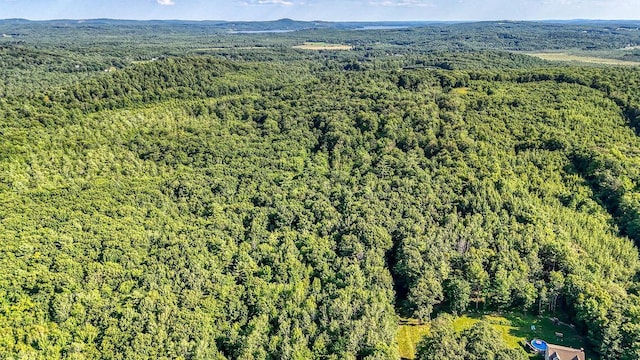 LOT29 N Grey Rd, Greene, ME 04236 - photo 4