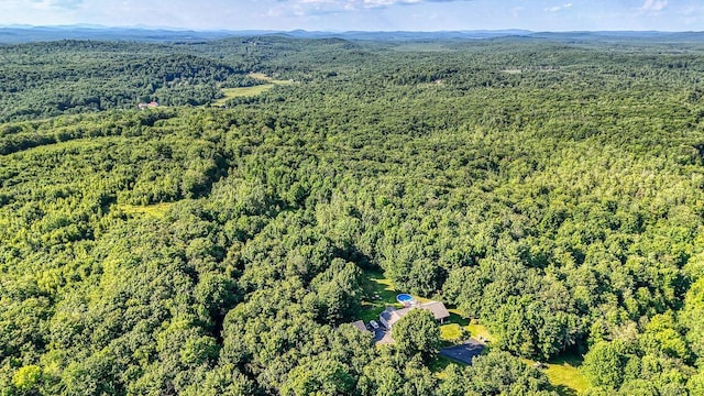 LOT29 N Grey Rd, Greene, ME 04236 - photo 5