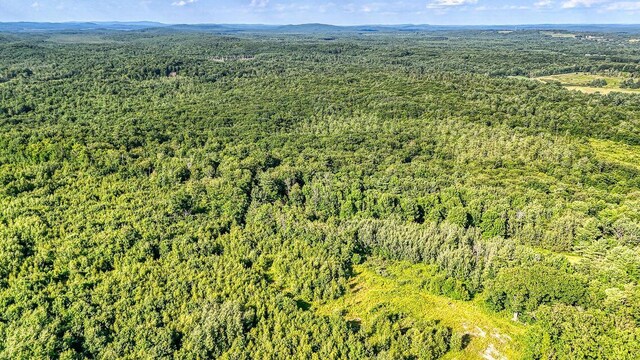 LOT29 N Grey Rd, Greene, ME 04236 - photo 6