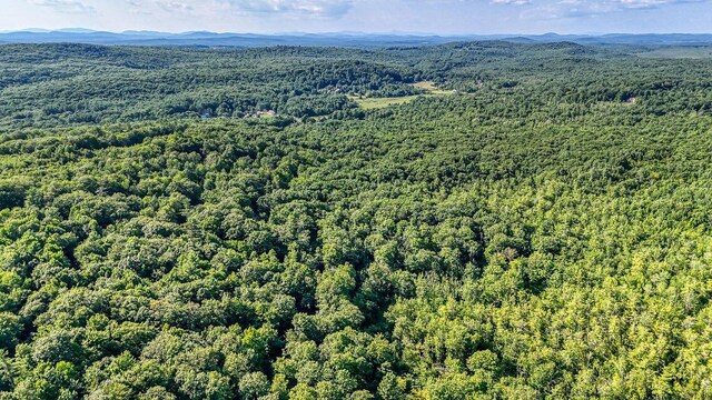 LOT29 N Grey Rd, Greene, ME 04236 - photo 8