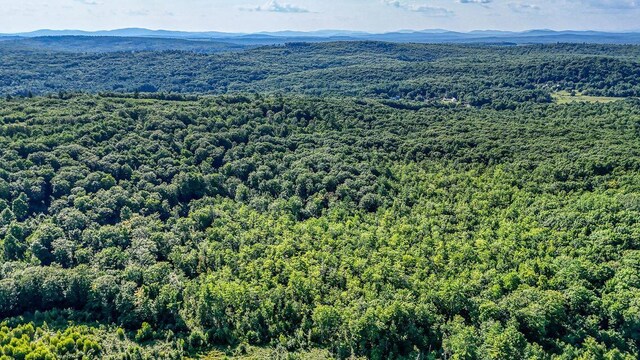 LOT29 N Grey Rd, Greene, ME 04236 - photo 9