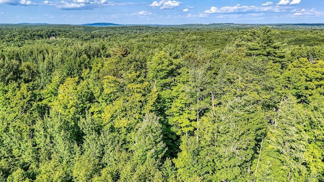 LOT29 N Grey Rd, Greene, ME 04236 - photo 10