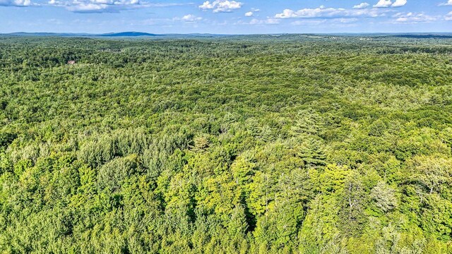 LOT29 N Grey Rd, Greene, ME 04236 - photo 11