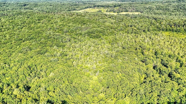 LOT29 N Grey Rd, Greene, ME 04236 - photo 12