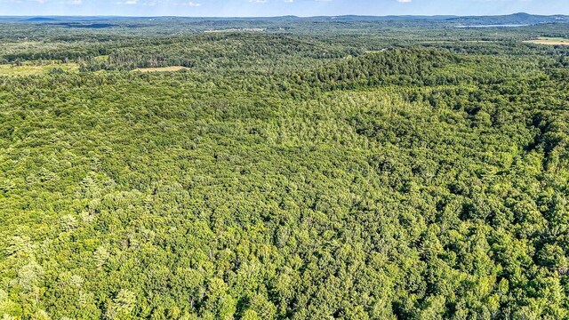LOT29 N Grey Rd, Greene, ME 04236 - photo 13