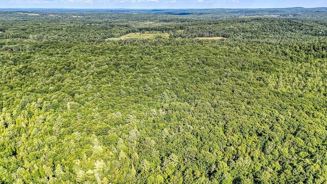 LOT29 N Grey Rd, Greene, ME 04236 - photo 14