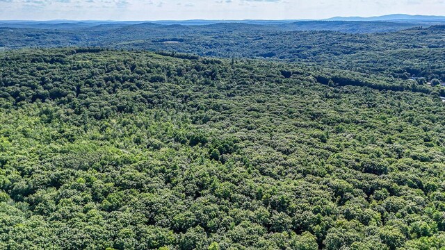 LOT29 N Grey Rd, Greene, ME 04236 - photo 16