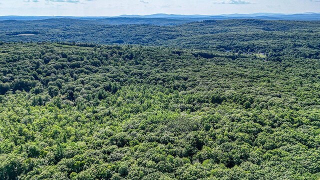 LOT29 N Grey Rd, Greene, ME 04236 - photo 17