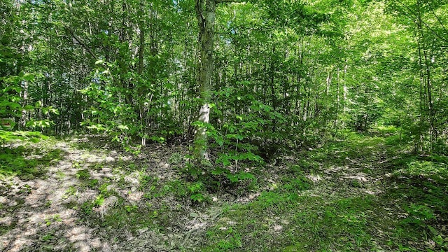 LOT29 N Grey Rd, Greene, ME 04236 - photo 20