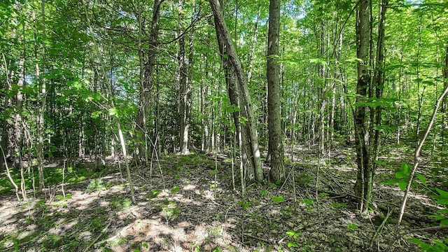 LOT29 N Grey Rd, Greene, ME 04236 - photo 21