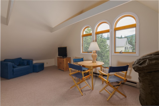 6015 Penobscot Cir Unit 6015, Carrabassett Valley, ME 04947 - photo 22