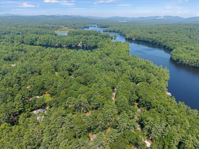 32 Crescent Dr, Waterboro, ME 04061 - photo 39