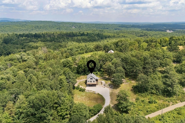 223 Bridge St, Newfield, ME 04095 - photo 57