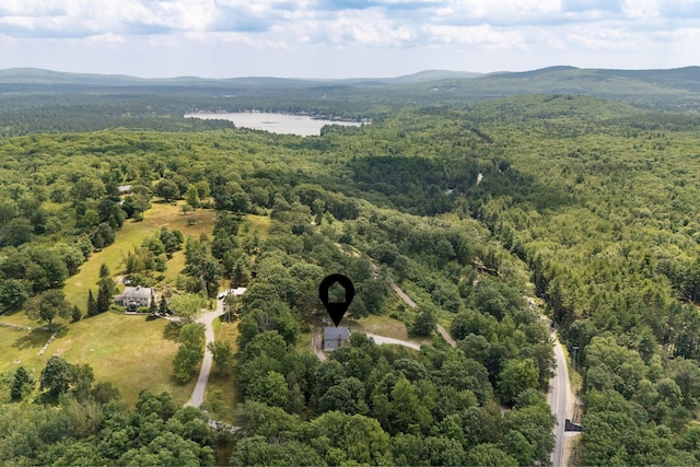 223 Bridge St, Newfield, ME 04095 - photo 56