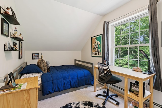 223 Bridge St, Newfield, ME 04095 - photo 40