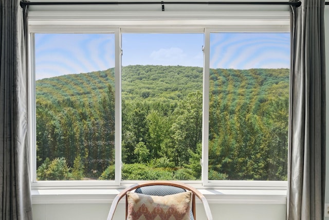 223 Bridge St, Newfield, ME 04095 - photo 49