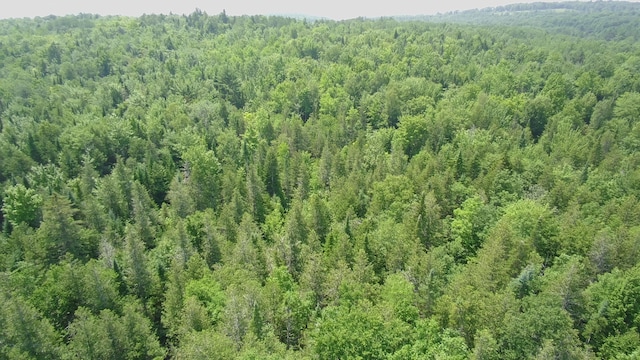 266 Crow Hill Rd, Parkman, ME 04443 - photo 58