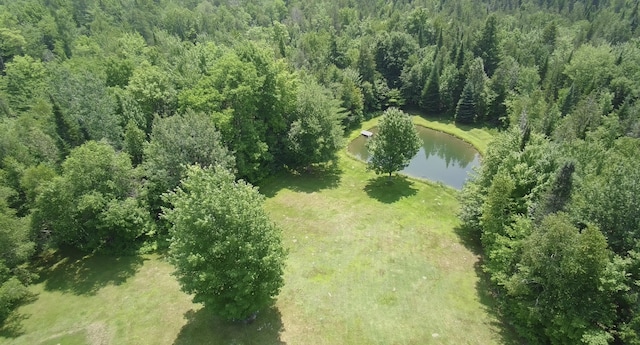 266 Crow Hill Rd, Parkman, ME 04443 - photo 59
