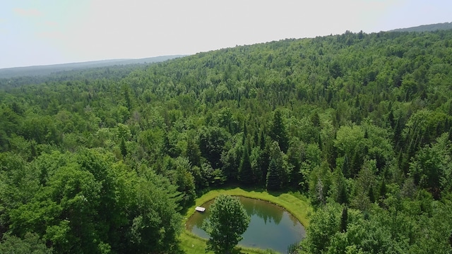 266 Crow Hill Rd, Parkman, ME 04443 - photo 57