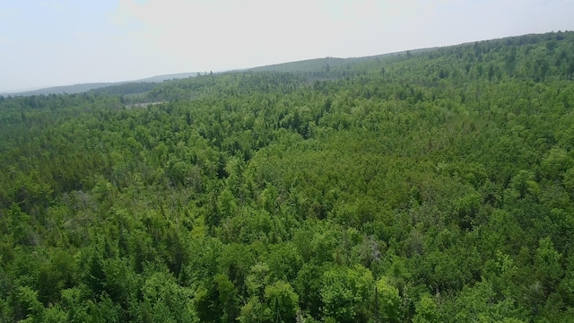 266 Crow Hill Rd, Parkman, ME 04443 - photo 62