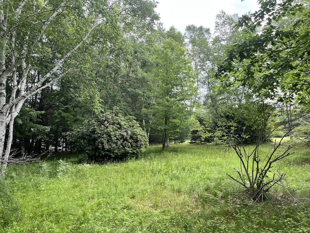 0 Fish Point Rd, Hancock, ME 04640 - photo 7
