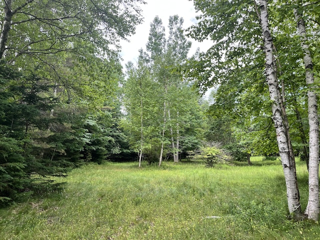 0 Fish Point Rd, Hancock, ME 04640 - photo 9