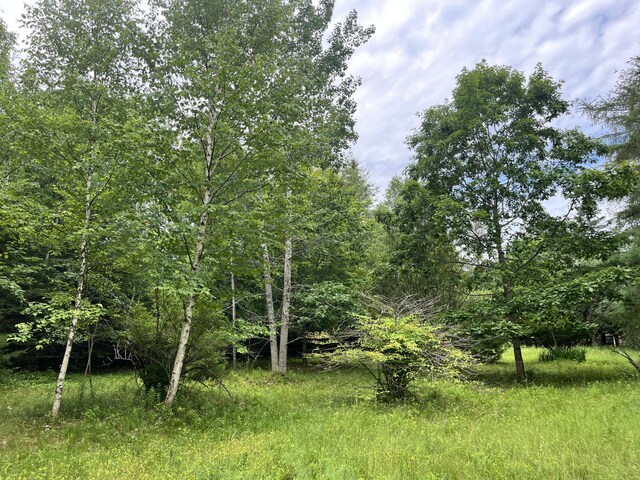 0 Fish Point Rd, Hancock, ME 04640 - photo 11