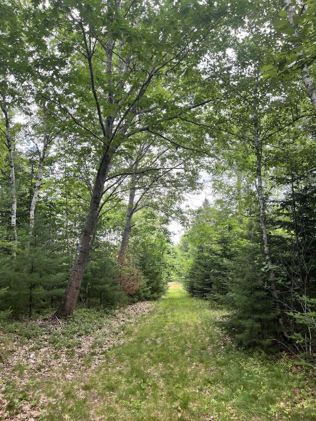 0 Fish Point Rd, Hancock, ME 04640 - photo 14