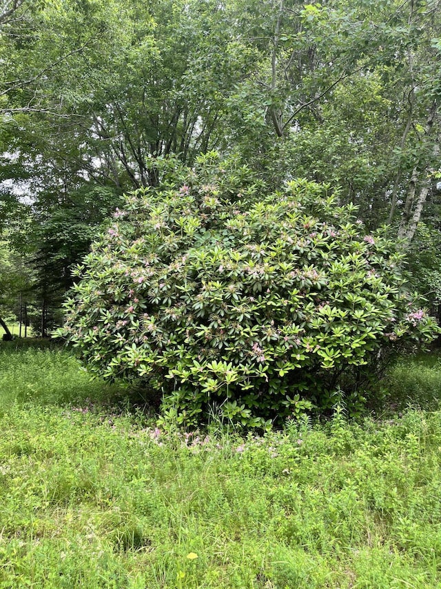 0 Fish Point Rd, Hancock, ME 04640 - photo 10